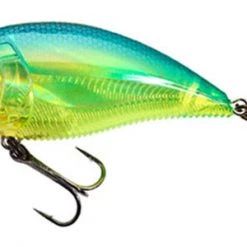 Yo-Zuri 3Db Wake Bait Floating Diver 2 3/4 Inch Shallow Square Bill Crankbait Baits