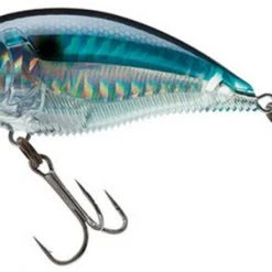 Yo-Zuri 3Db Wake Bait Floating Diver 2 3/4 Inch Shallow Square Bill Crankbait Baits