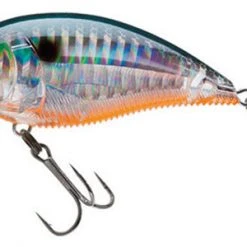 Yo-Zuri 3Db Wake Bait Floating Diver 2 3/4 Inch Shallow Square Bill Crankbait Baits