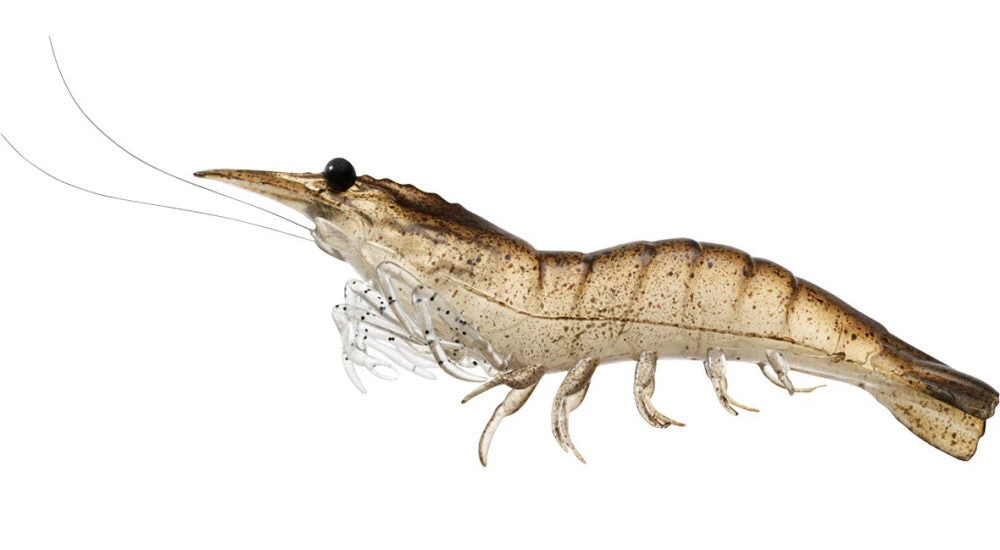 Baits Livetarget Rigged Shrimp 100 1/2 Oz. 4 Pack 10 Baits Livetarget Rigged Shrimp 100 1/2 Oz. 4 Pack