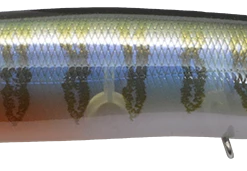 Megabass Dog-X Diamante Rattle In 22 Megabass Dog-X Diamante Rattle In