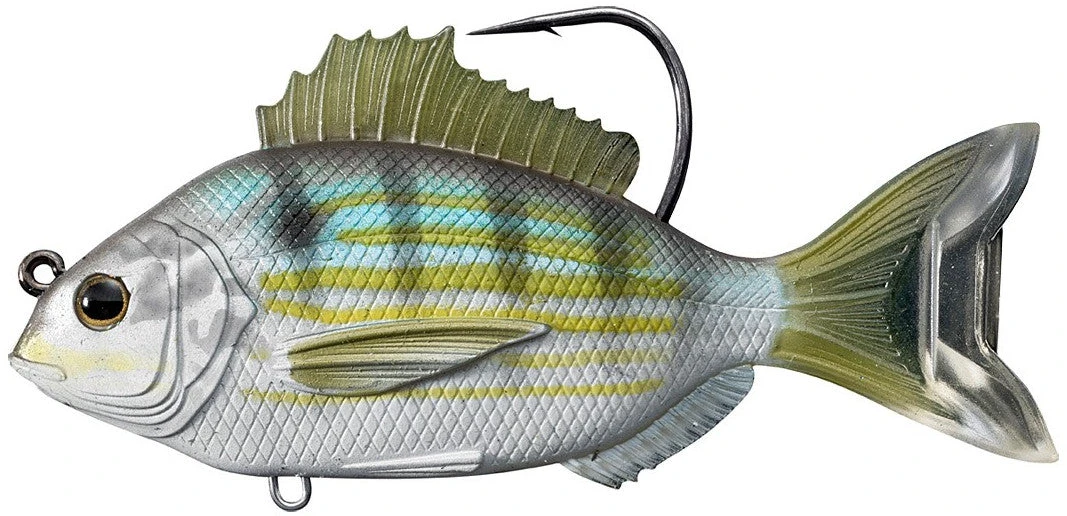 Baits Livetarget Pinfish Swimbait 3 1/2" 1 Baits Livetarget Pinfish Swimbait 3 1/2"