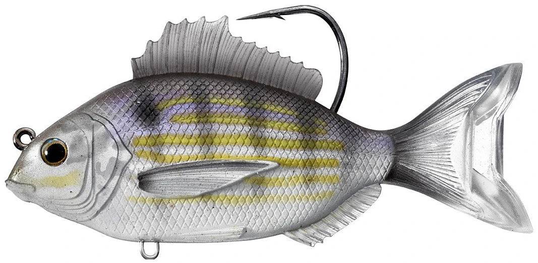 Baits Livetarget Pinfish Swimbait 3 1/2" 2 Baits Livetarget Pinfish Swimbait 3 1/2"