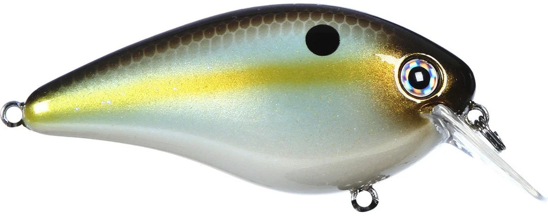 Strike King Kvd Square Bill 1.0 Silent Crankbaits 20 Strike King Kvd Square Bill 1.0 Silent Crankbaits