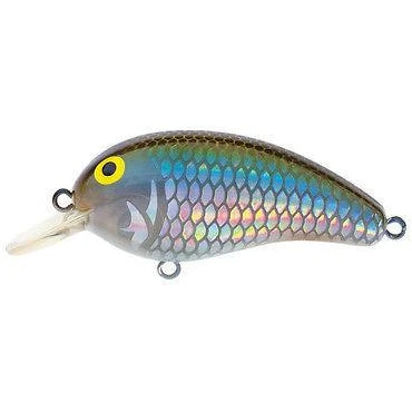 Baits Daiwa Peanut Medium Diving Crankbait 4 Baits Daiwa Peanut Medium Diving Crankbait