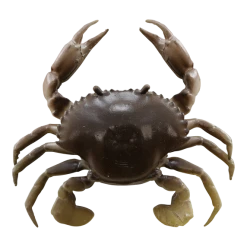 Baits Savage Gear 3D Tpe Crab Soft Plastic Creature