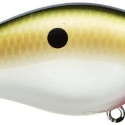 Strike King Kvd Square Bill 1.0 Silent Crankbaits 42 Strike King Kvd Square Bill 1.0 Silent Crankbaits