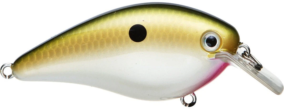 Strike King Kvd Square Bill 1.0 Silent Crankbaits 21 Strike King Kvd Square Bill 1.0 Silent Crankbaits