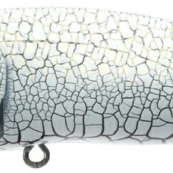 Megabass Pop Max Baits