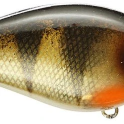 Strike King Kvd Square Bill 1.0 Silent Crankbaits 43 Strike King Kvd Square Bill 1.0 Silent Crankbaits