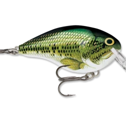 Rapala Dt Series Crankbait Dt4