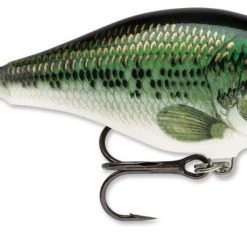 Rapala Scatter Rap Crank Shallow 2 3/4" Baits
