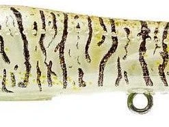 Nomad Design Chug Norris Freshwater/Inshore Popper