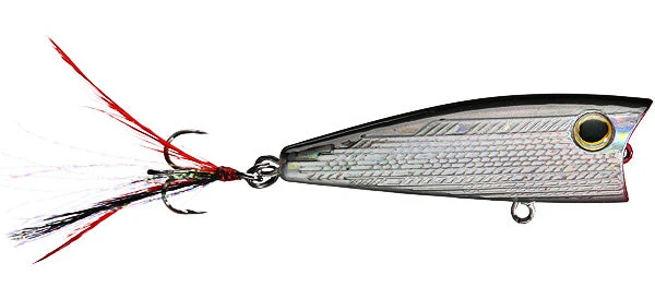 Baits Castaic Boyd Duckett Bdp60 Popper 4 Baits Castaic Boyd Duckett Bdp60 Popper