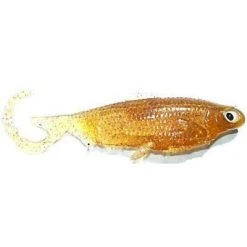 Castaic Minnow Worm 5" 15 Castaic Minnow Worm 5