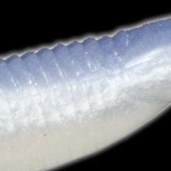 Baits Reaction Innovations Little Dipper 3 1/2 Inch Paddle Tail Swimbait