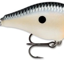 Rapala Scatter Rap Crank Shallow 2 3/4" Baits 43 Rapala Scatter Rap Crank Shallow 2 3/4