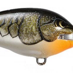 Rapala Fat Rap Crankbait