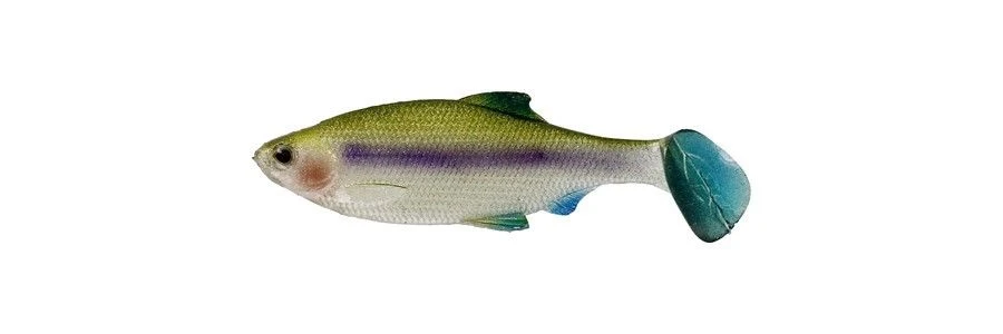 Westin Ricky The Roach 2 3/4 Inch Soft Paddle Tail Swimbait Baits 1 Westin Ricky The Roach 2 3/4 Inch Soft Paddle Tail Swimbait Baits