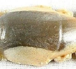 Berkley Gulp! Sand Crab Flea 1 Inch 12 Pack