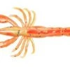 Baits Berkley Gulp! Ghost Shrimp 3 Inch 7 Pack