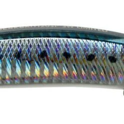 Duo International Duo Realis Jerkbait 120SP Saltwater Limited