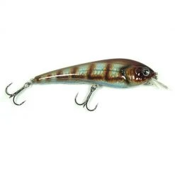 Baits Strike Pro T'Railer