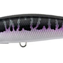 Duo International Duo Realis Fangbait 120SR Shallow Jerkbait Baits