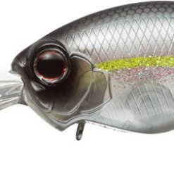 Evergreen International Wh-8 Crankbait Baits